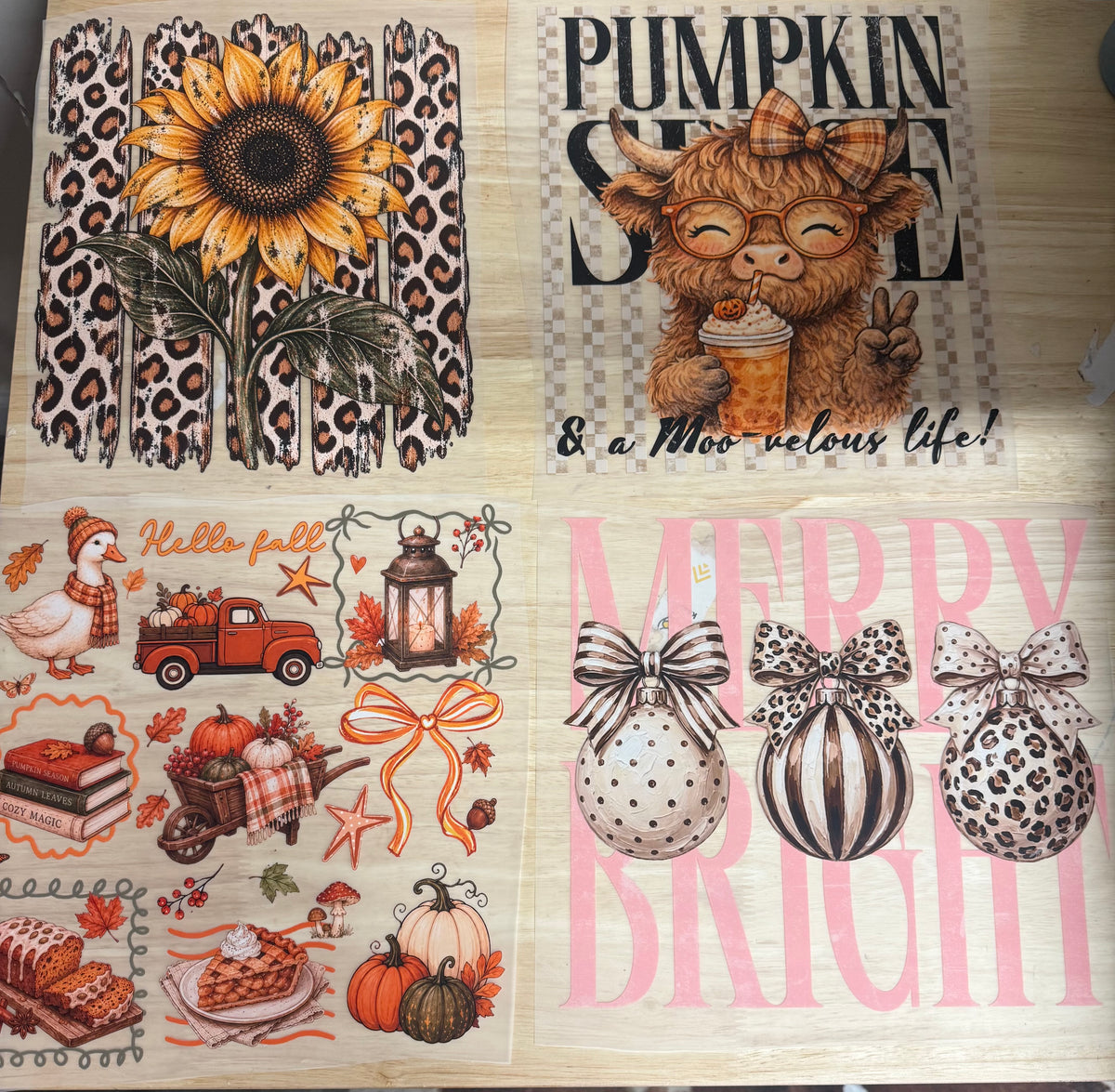 Full Color Designs for any garment